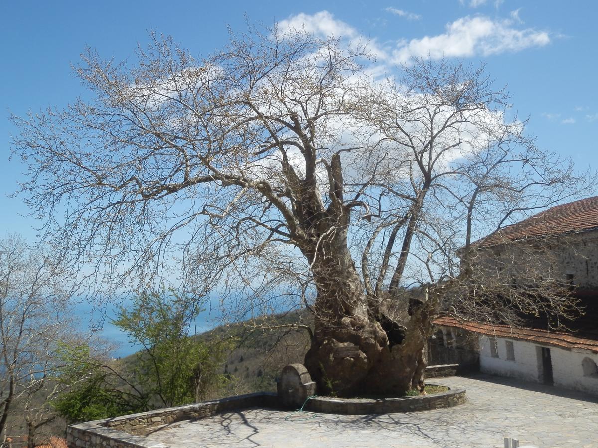 Ano Skotina Sintrivanis Mountain מראה חיצוני תמונה