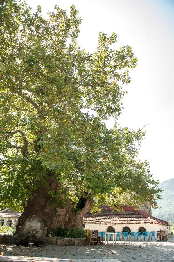 Ano Skotina Sintrivanis Mountain מראה חיצוני תמונה
